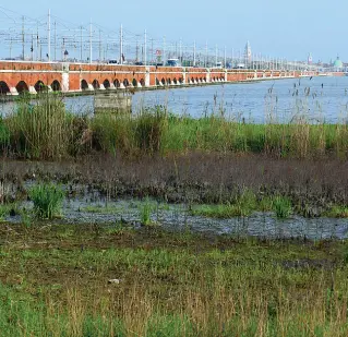  ?? ?? Strategica L’area dei Pili è l’ultima sul lato destro prima del Ponte della Libertà