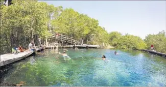  ?? Christophe­r Reynolds Los Angeles Times ?? YALAHAU is a bracingly cool freshwater spring where you can swim and snack on ceviche.