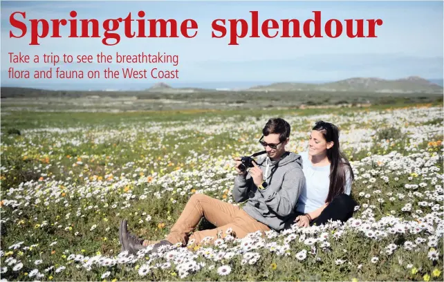  ?? PICTURES: ARMAND HOUGH/AFRICAN NEWS AGENCY (ANA) ?? BACK TO NATURE: Tiaan Calitz, his girlfriend Sara Tekavec from Slovenia, and Jacques Naude from George (above right) admire the natural blooming phenomenon. Tourists and local nature enthusiast­s have been flocking to the West Coast National Park for this year’s annual Spring Flower Season. It runs until September 30.