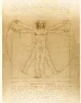  ??  ?? The Vitruvian Man