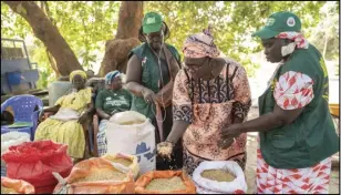  ?? ASSOCIATED PRESS ?? Mariama Sonko and other members of the “Nous Sommes la Solution” (We Are the Solution) movement take a census of the different varieties of rice in the Casamance village of Niaguis, Senegal on March 7.