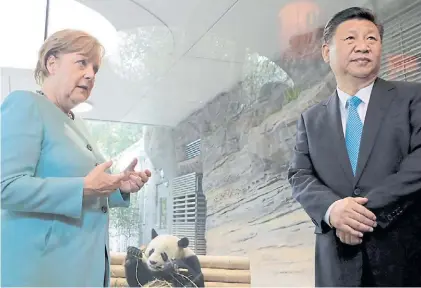 ?? AP ?? Denuncias cruzadas. La canciller alemana Angela Merkel en un encuentro reciente con Xi Jinping.