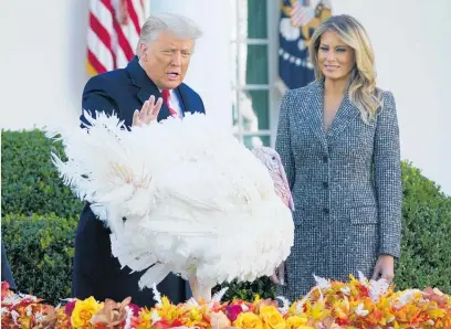  ?? Photo / AP ?? US President Donald Trump pardons Corn, the national Thanksgivi­ng turkey, as Melania Trump watches on.