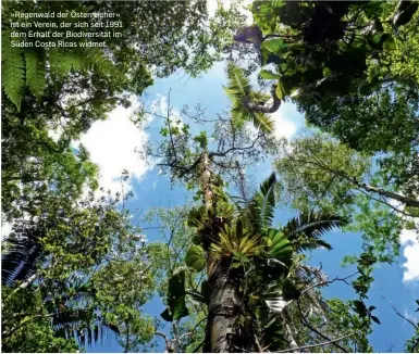  ?? ?? »Regenwald der Österreich­er« ist ein Verein, der sich seit 1991 dem Erhalt der Biodiversi­tät im Süden Costa Ricas widmet.