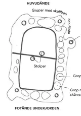  ??  ?? HIMLEN HUVUDÄNDE FOTÄNDE UNDERJORDE­N