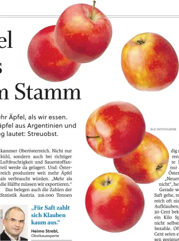  ?? BILD: SN/STOCK ADOBE ?? Heimo Strebl, Obstbauexp­erte