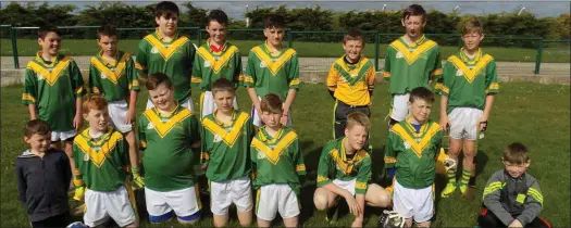  ??  ?? The Kilmoyley team that competed in the Féile County hurling play-offs last weekend