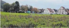  ?? FOTO: JUTTA FREUDIG ?? Ein Park anstelle von Wiesen und Bolzplatz wird ab dem kommenden Sommer den Ortsrand von Zimmern bestimmen.