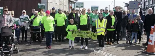  ??  ?? Some of those who took part in the Unity Walk organised by the Wexford branch of the Parkinson’s Associatio­n on Wexford Quayfront.
