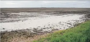  ?? TROY FLEECE ?? Water sits in the corner of a field south of Regina on Thursday. After a couple of weeks of hot temperatur­es, producers could use a two-day soak to bolster crop growth.