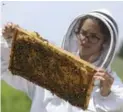  ??  ?? Julianne Oliveira, a student in Niagara College’s beekeeping program, is part of a team studying the effect the project will have on the local bee population.