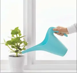  ?? [IKEA] ?? This watering can’s long spout helps you direct water where plants need it.