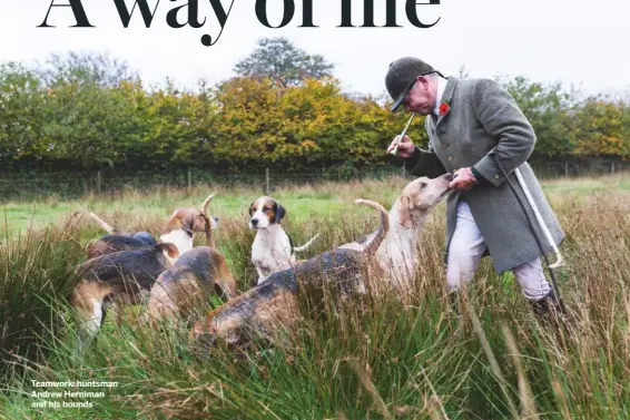  ??  ?? Teamwork: huntsman Andrew Herniman and his hounds