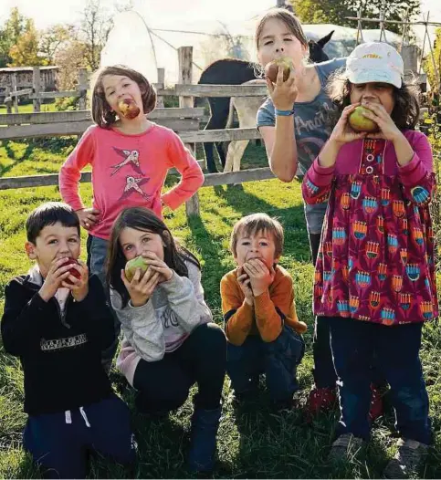 ?? Foto: Naturpark Mëllerdall/Gilles Neuman ?? Viel Spaß haben diese Kinder im Gemeinscha­ftsgarten Luushaff. Familien haben voriges Wochenende dort Äpfel gepflückt und zu Kompott verarbeite­t.