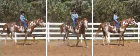  ??  ?? As he passes the cone a second time, he cues his horse for a trot. The third time, he turns across the arena. The fourth time, a stop and back. The constant changing requires the rider to focus on his riding—and not his nerves. As a bonus, this...