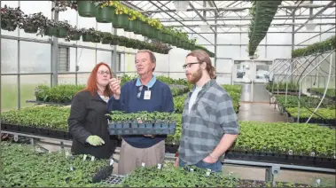  ?? CONTRIBUTE­D PHOTO ?? David Warren (center), director of GNTC’s Horticultu­re program, inspects tomato plants that will be a part of GNTC’s Spring Plant Sale with Shannon Bryant of Lafayette (left) and Morgan Lathem (right) of Chickamaug­a.