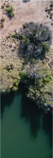  ??  ?? FROM LEFT: Visit South Australia’s Dalhousie Springs early in the morning; Jump right into Maguk gorge, the jewel in the crown of Kakadu’s swimming spots.