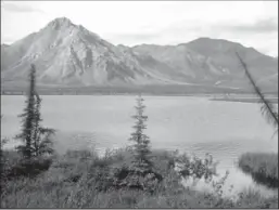  ?? US FISH AND WILDLIFE SERVICE/GETTY IMAGES ?? This undated photo shows the Arctic National Wildlife Refuge in Alaska. The Interior Department is set to issue a “call for nomination­s” as early as Monday, before auctioning drilling rights in the refuge.