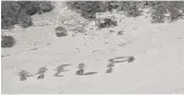  ?? U.S. COAST GUARD PHOTO ?? This photo shows ‘‘HELP” spelled out with palm fronds on Monday by three stranded mariners on Pikelot Atoll, Yap State, Federated States of Micronesia. The three mariners are safe after being stranded for more than a week.