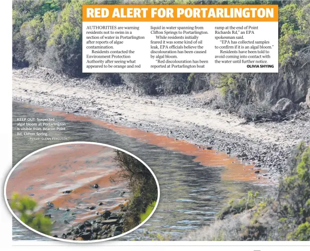  ?? Picture:Picture: GLENNGLENN FERGUSONFE­RGUSON ?? KEEP OUT: Suspected algal bloom at Portarling­ton is visible from Beacon Point Rd, Clifton Spring.