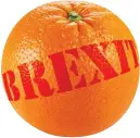  ??  ?? The Brexit orange