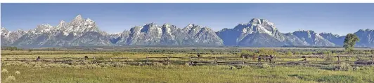  ?? FOTO: DPA ?? Pferde weiden im Tal Jackson Hole vor der Teton Range im US-Bundesstaa­t Wyoming.