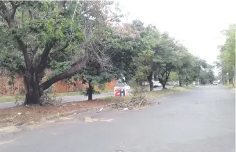  ??  ?? La zona de Primer Presidente se compone en un 86% por viviendas unifamilia­res y será impactada fuertement­e con esta modificaci­ón al Plan Regulador de la Ciudad de Asunción.