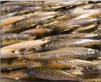  ?? (Photo submitted by Duane Doty) ?? Duane Doty hand-paints fishing lures to catch trophy brown trout at Lake Taneycomo in Branson, Mo.