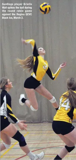  ??  ?? SunDogs player Brielle Wall spikes the ball during the round robin game against the Regina QCVC Black Ice, March 2.