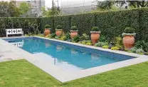  ?? Courtesy photo ?? Boxwood is a good option for a privacy hedge.