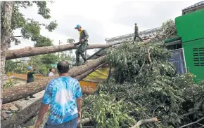  ?? BANGKOK POST PHOTO ?? Soldiers and rescue workers remove trees that fell onto a building at the Thai Medicine Office in Nakhon Si Thammarat in the aftermath of Pabuk on Jan 5.