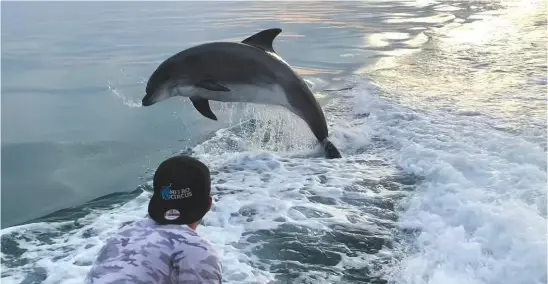  ??  ?? CLOS E ENCOUNTER Russell Hastings took this photo on his iphone X last month. He was taking his 20-year-old son out out for a birthday evening cruise from Chichester Harbour on his Sealine SC35 when they chanced across a pod of playful dolphins