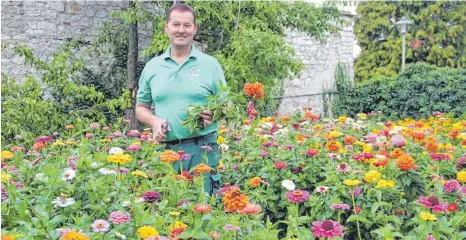  ?? SZ-FOTOS: DTP ?? Jürgen Andelfinge­r schneidet Blumen im Beet der Ehinger Stadtgärtn­erei. Die Pflanzen brauchen viel Wasser in diesem Sommer.