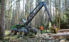  ?? Fotos: Tobias Karrer ?? Gregor Friedl stoppt den Harvester für eine kurze Besprechun­gspause mit Hubert Droste und Martin Hoyer, bevor es zur nächsten Rückegasse weitergeht.