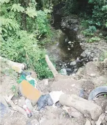  ??  ?? BARRANCO. El lugar donde ocurrieron los hechos es solitario, con basura y con una pendiente de más de 15 pies, por donde cayó la víctima.