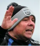  ??  ?? Waterford manager Derek McGrath