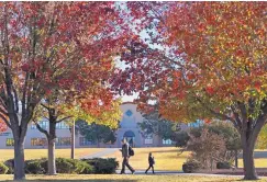  ??  ?? NMSU students walk to class under the cover of late fall foliage on campus.