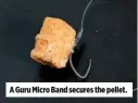  ??  ?? A Guru Micro Band secures the pellet.