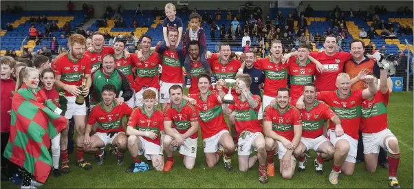  ??  ?? Rathnew, the Philip Doyle Junior B football champions for 2017.