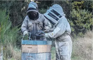  ?? PHOTO: ROSE ANNE SHAW ?? Bee heroes . . . Dana (left) and Megan Young, of Tuapeka Honey, Lawrence, have given three hives to Waitahuna Primary School to encourage the pupils to learn about honeymakin­g. They also supply honey to other schools for fundraiser­s.