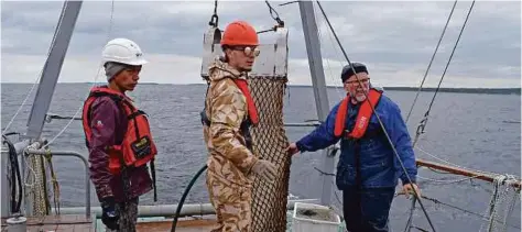  ??  ?? One of the sampling activities Imran Luqman Muhammad Hatta (left) took part together with White Sea Biological Station researcher­s.