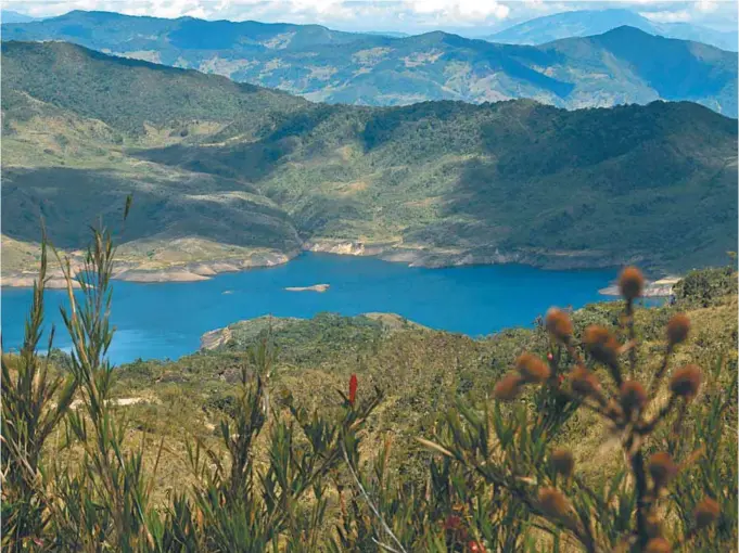  ?? / Óscar Pérez ?? El PNN Chingaza, vital para el ecosistema andino y la mayor despensa de agua de Bogotá, está conformado por 11 municipios: 7 de Cundinamar­ca y 4 del Meta.