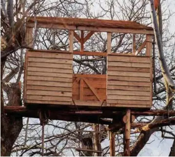 ELEMENTOS PARA DECORAR EL JARDIN III - PressReader