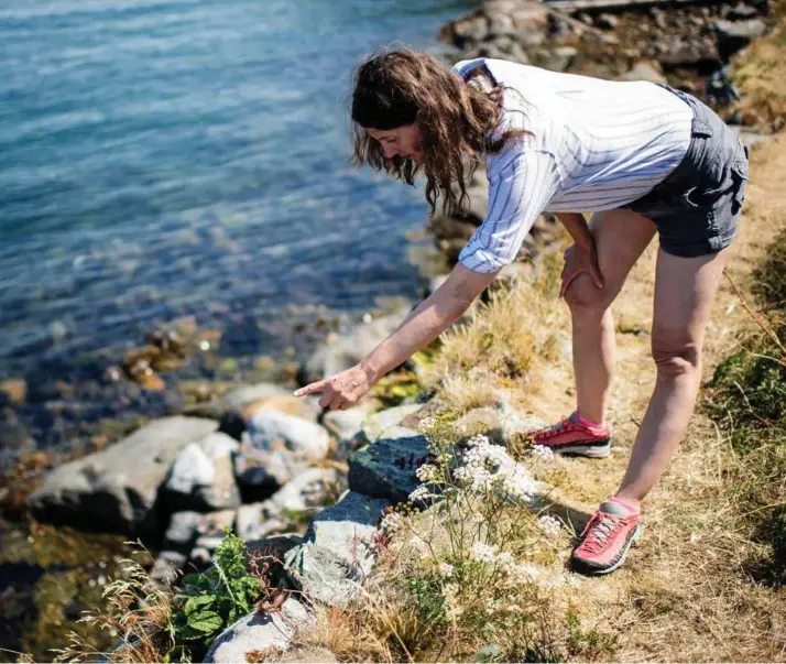  ?? FOTO: JACOB BUCHARD ?? Vibeke Slyngstad snakker om fargene og komposisjo­nen man naturlig finner i naturen. Hun fasineres av sårbarhete­n og standhafti­gheten i strandblom­stene.