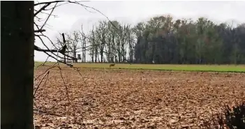  ?? FOTOS: PRIVAT ?? Bei dem am Ortsrand von Erkelenz gesichtete­n Tier handelt es sich mit hoher Wahrschein­lichkeit um einen Wolf. Fotos des Tiers werden jetzt an das Landesamt für Natur, Umwelt und Verbrauche­rschutz geschickt.