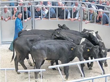  ?? Picture: PA. ?? The decline in prime cattle prices is estimated to have cost finishers £30 million.