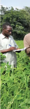  ??  ?? Farmers turned researcher­s of Burkina Faso learn tips on sustainabl­e agricultur­al practices from cotton farmers of Warangal in Telangana during their visit to India a few years ago