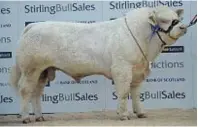  ??  ?? Elrick Legend sold for 12,000gns