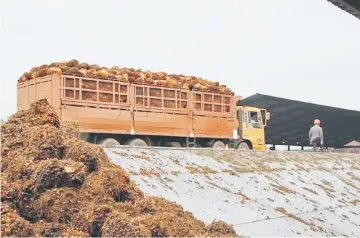  ??  ?? India’s duty on crude palm oil was lowered to 40 per cent from 44 per cent, while a tax on the refined variety was cut to 50 percent from 54 percent, according to the notificati­on issued late on Monday. — Reuters photo