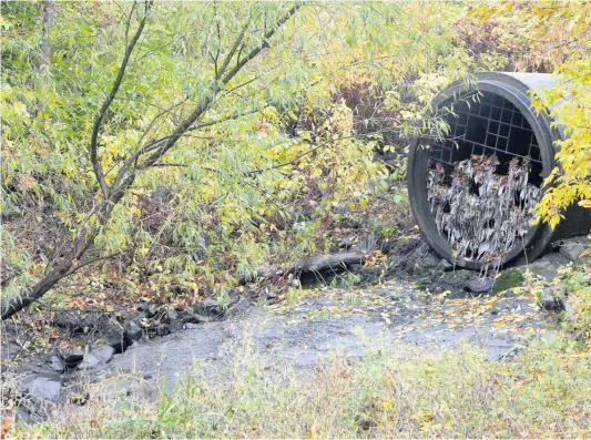  ?? PHOTO AGENCE QMI, JULIEN GARON-CARRIER ?? Un tuyau de surverse situé à Montmagny dans Chaudière-Appalaches qui sert lorsque le débit des eaux usées est trop élevé.